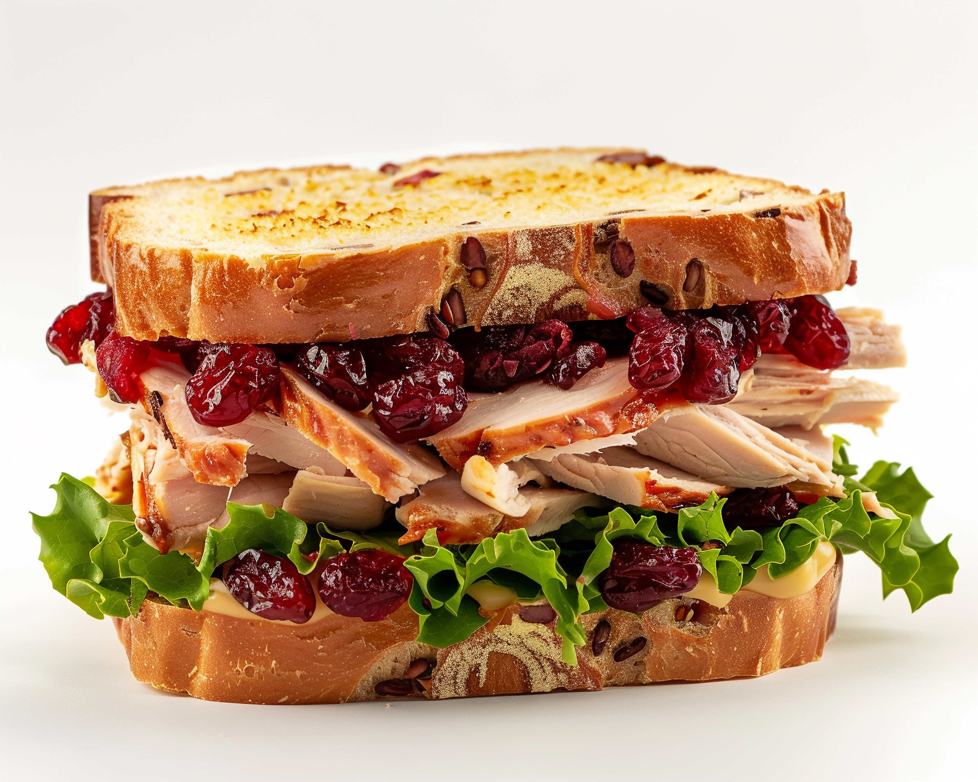 Cranberry Turkey Holiday Special